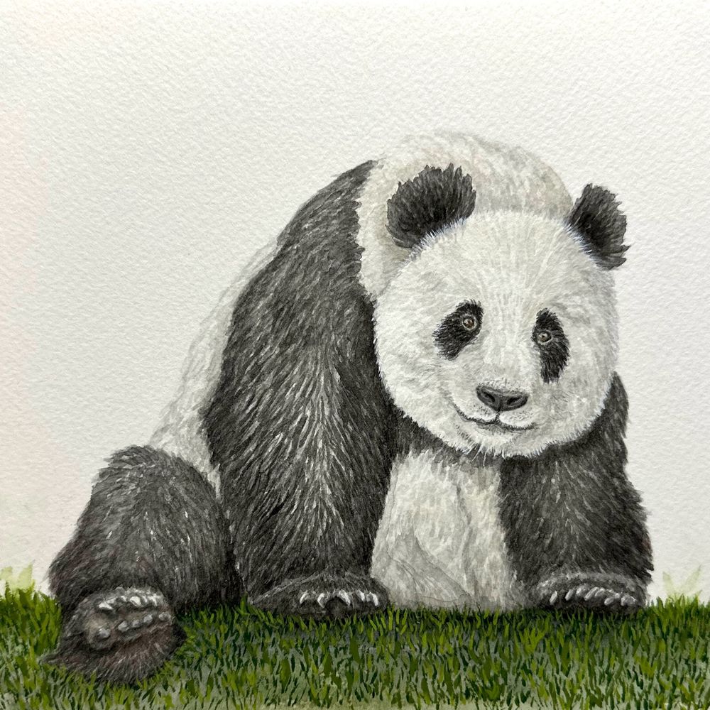 Sneaky Pete – Panda on Grass | Watercolor Art Print 6x6"